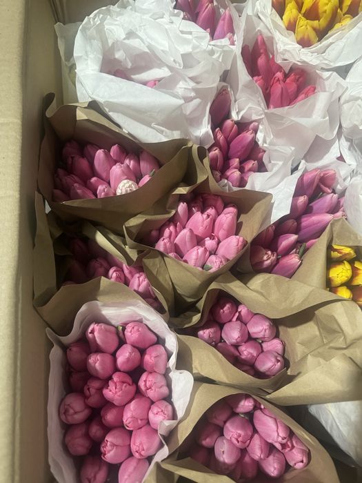 Тюльпаны , букеты не дорого