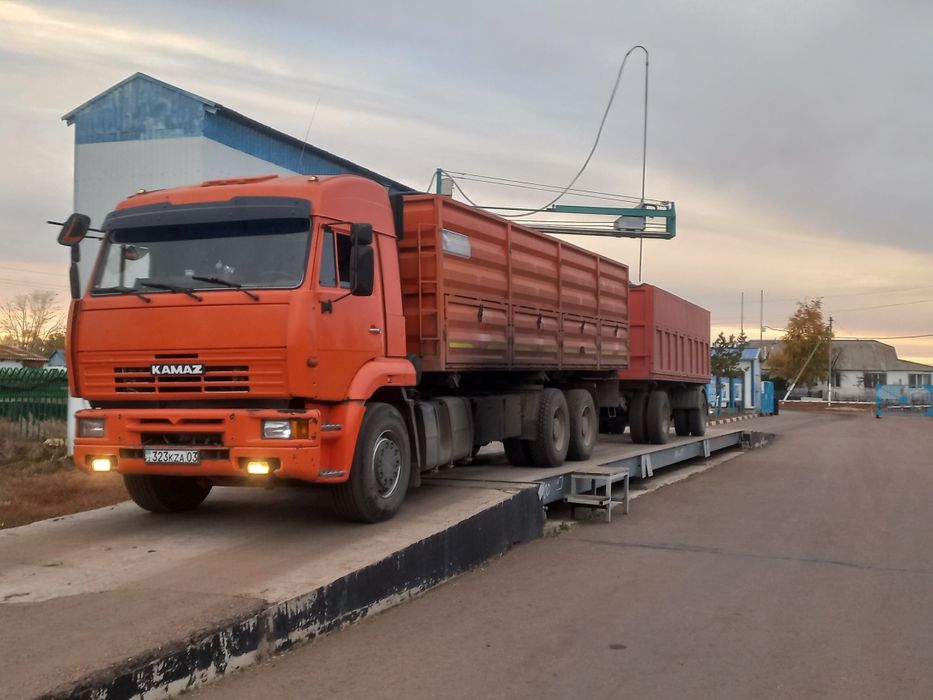 Грузовые Перевозки Зерновых