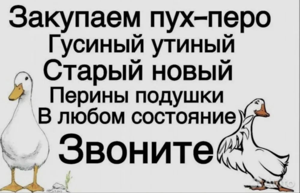 Пух,перо,гусиное,утиное