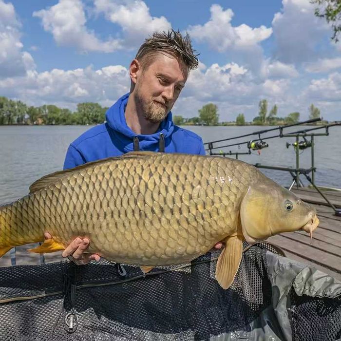 Стойка за Риболов JSFUN  – Идеални за Шарански Риболов!