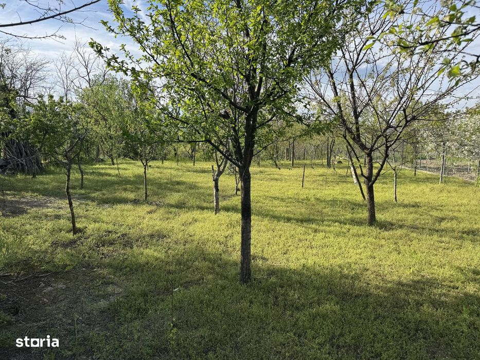 Ulmeni, Buzau, Casă cu pivniță și curte mare în mediul rural