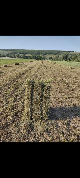 Baloți de paie  și lucerna