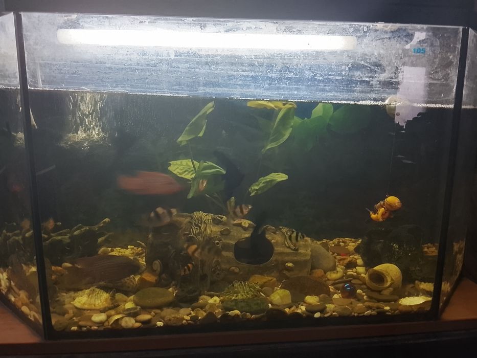 Срочно продам аквариум