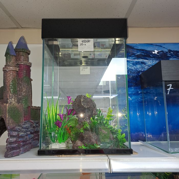 Аквариумистика аквариумы