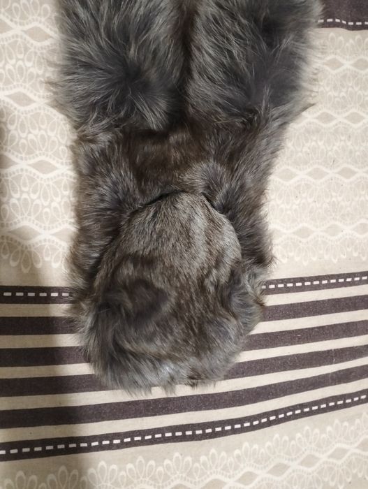 De vînzare/Blană,guler/vulpe argintie