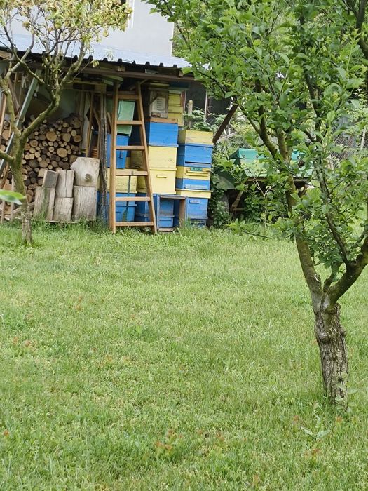 Продавам употребявани кошери Дадан-Блат