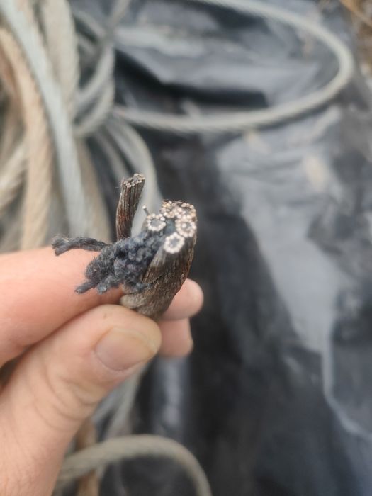 Тросс стальной канат