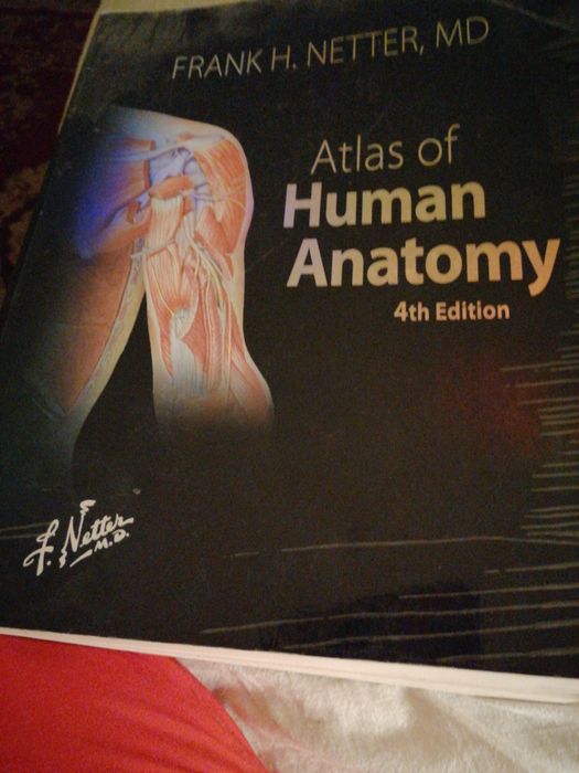 Atlas anatomia omului,ideal pentru medicina