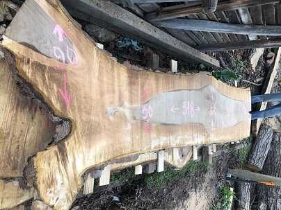 Орех - голями талпи от орех и голями шайби от корен на орех