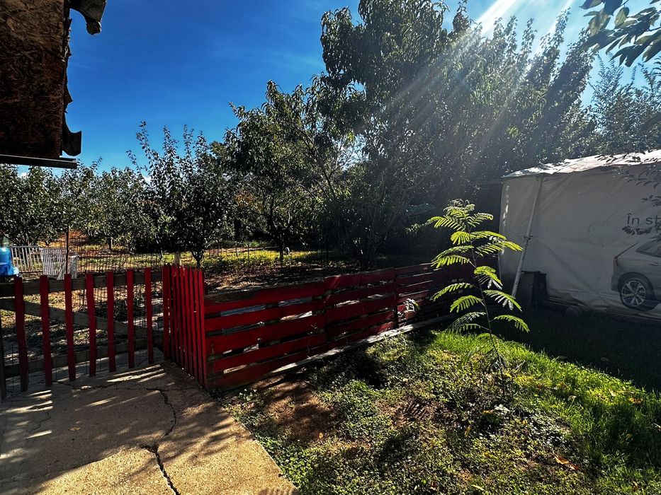 Casă de vânzare în Frumușani, 4 camere, 2100 mp teren