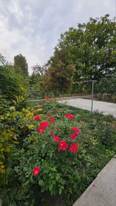 Дом 23 сотки в  пос. Балыкчи (Юкоричирчикский р-н)