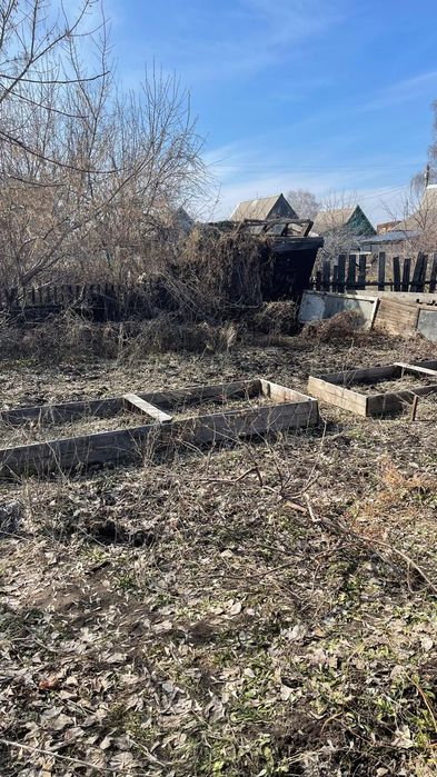 Дача хороший, 4 яблони вкусные