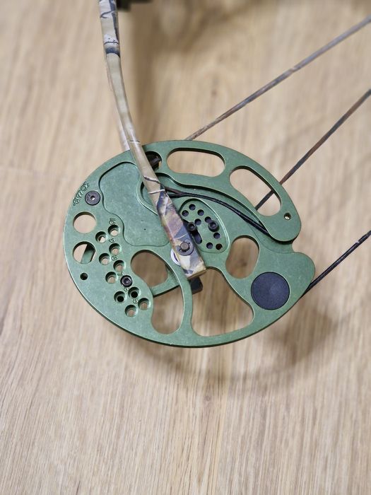 Arc Compound Bear Encounter