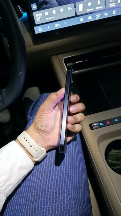 IPhone 15 Pro Max 256 Gb
