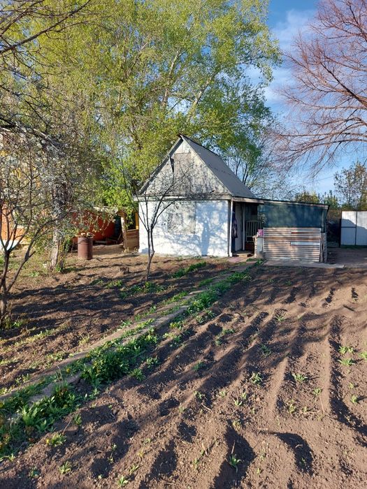 Продаём дачу в Акжар-2