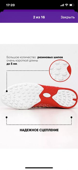 Сороконожки новые