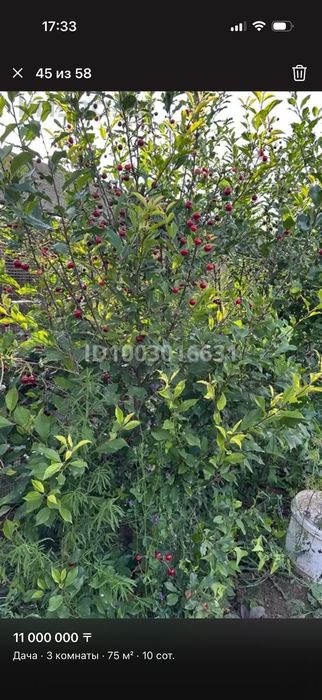 Продается Дача на баме