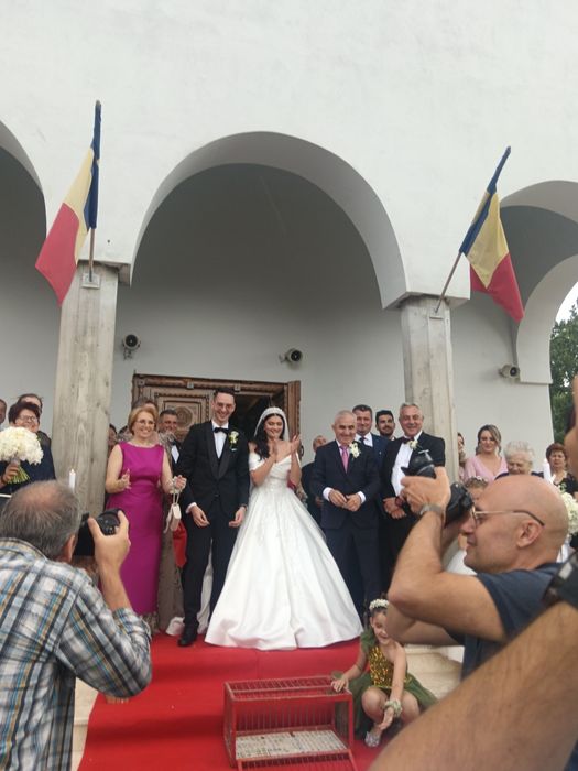 Porumbei evenimente Timișoara