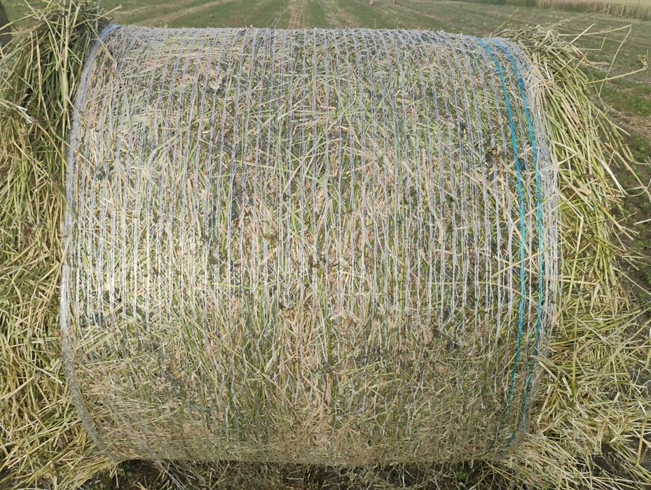 Baloți lucerna de calitate