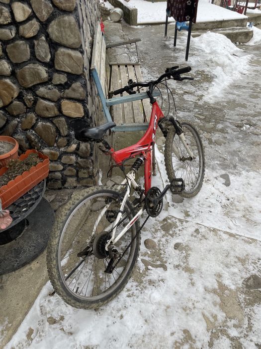Bicicleta pentru copii