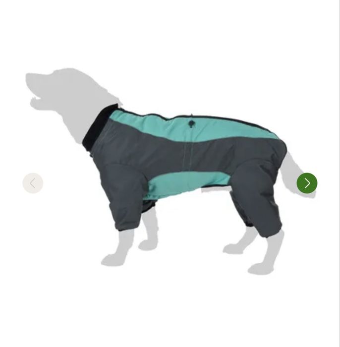 Гащеризон за куче