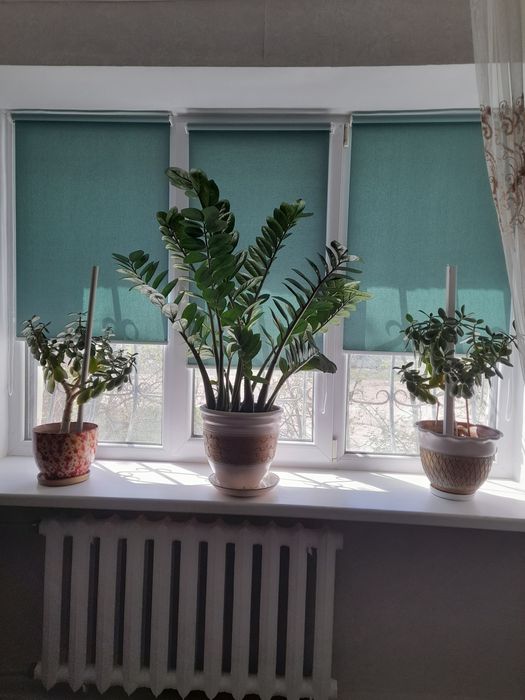 Жалюзи/Ролл-шторы/День-ночь