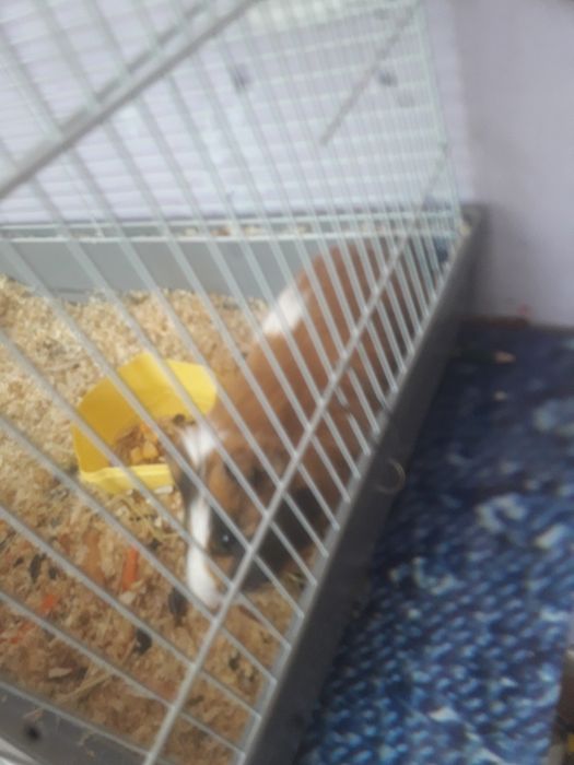 Клетка для грызунов