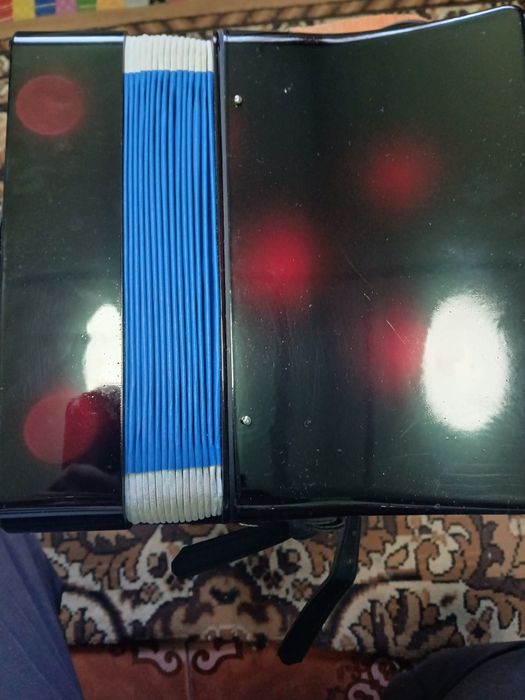 Acordeon pentru copii