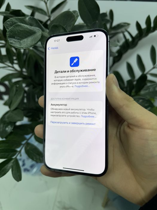 iPhone 14 Pro Max ideal