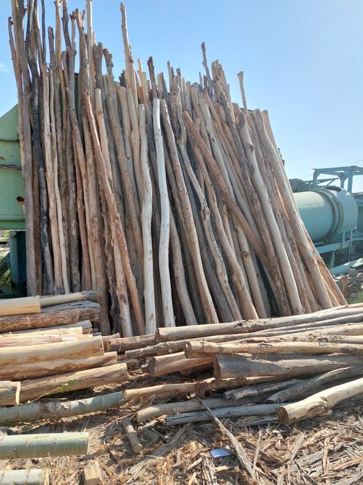 Tosin strapila corni reka taxtalar PILARAMA XIZMATI