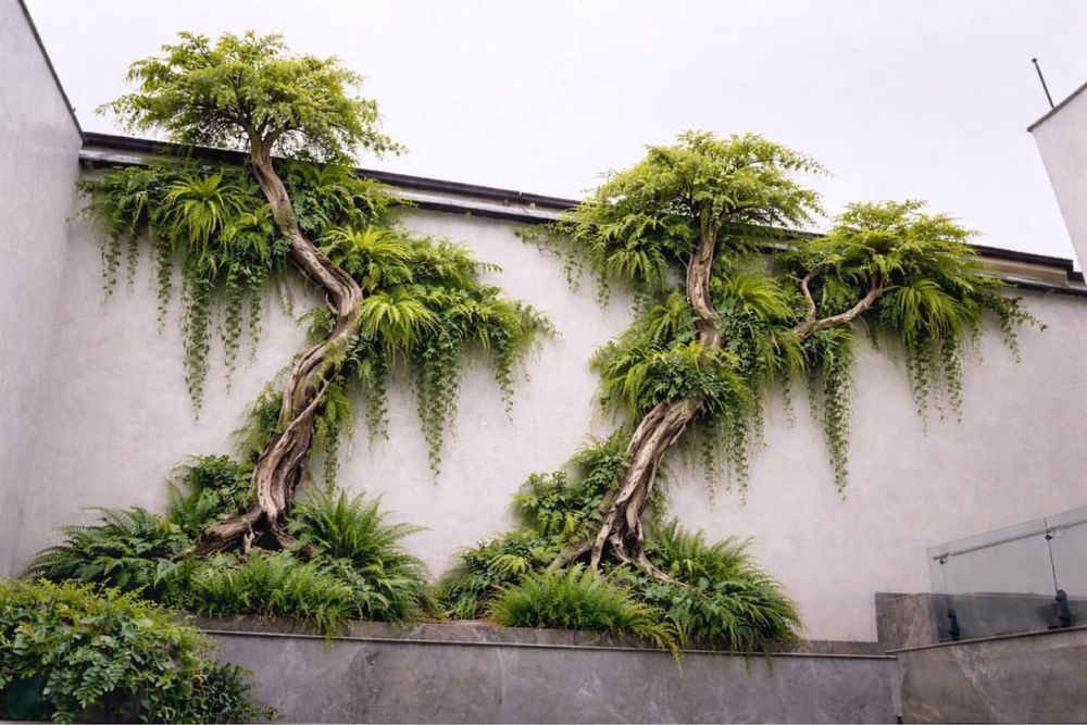 Искусственный озеленение цветы, мох,фитостена декора,  суний гулар