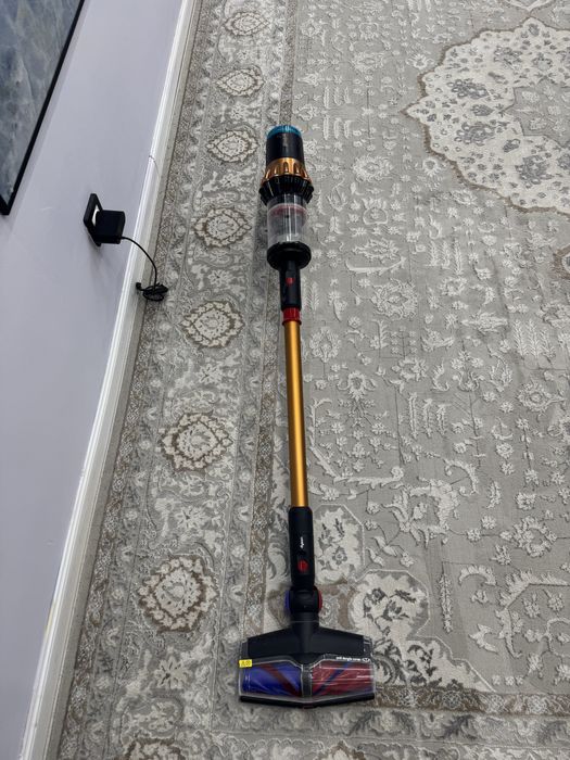 Dyson DS60 Piston Animal Submarine