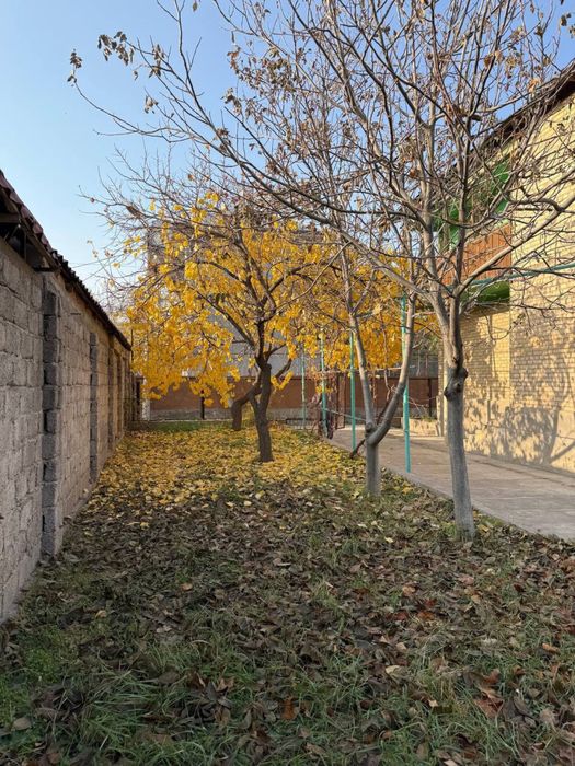 Продается добротная дача, Чирчик-Газалкент