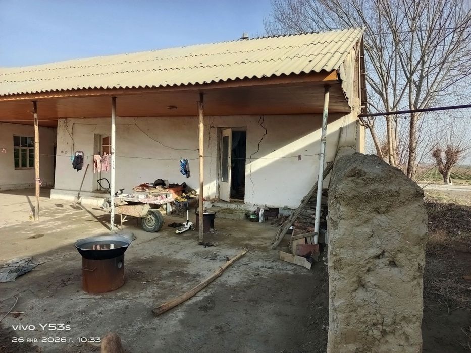 Xovli sotiladi 10 sotik