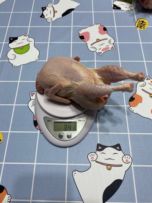 Продаю мясо домашней перепелки