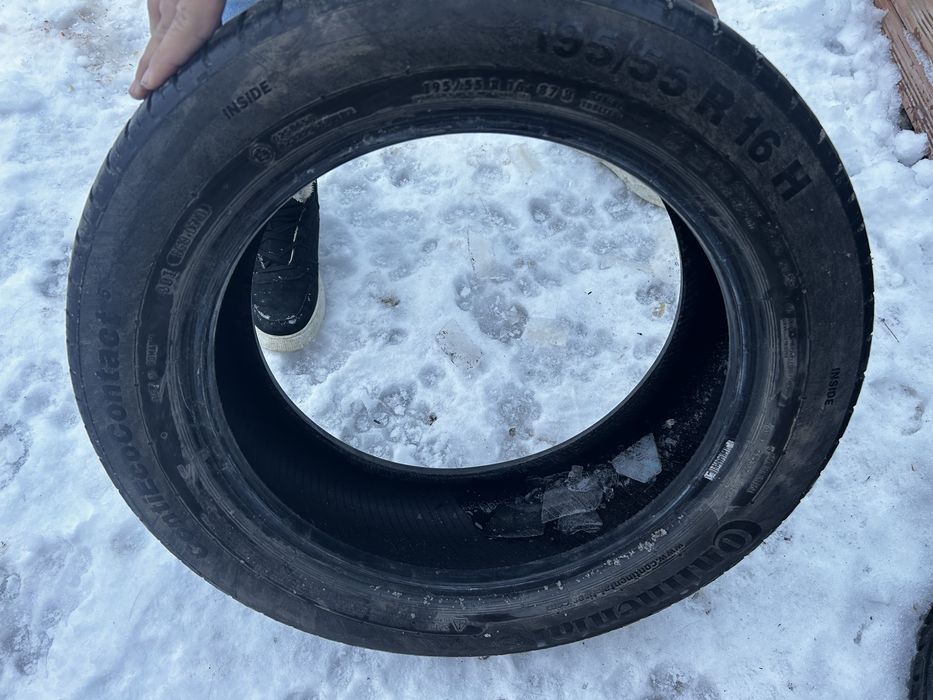 vand caucicuri de vara