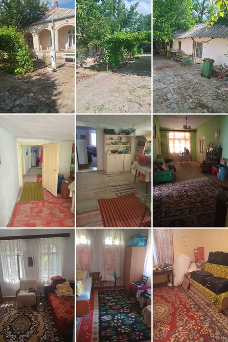 Vând teren intravilan şi casă bătrânească