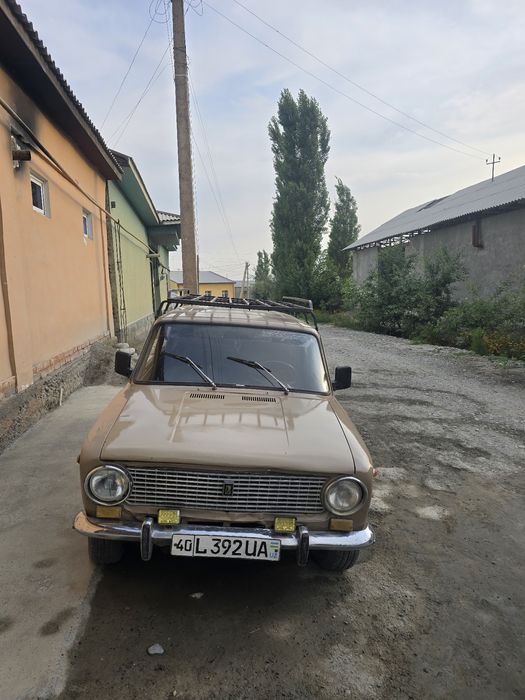 02 koʻmbi volatile yaxwi