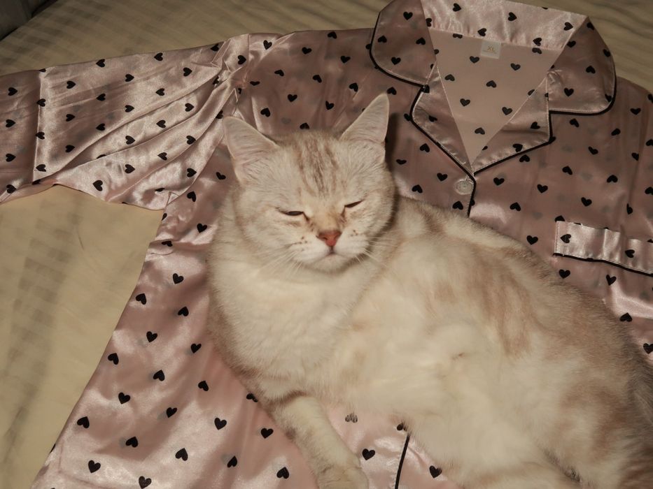 Canon g7x mark ii на гарантии