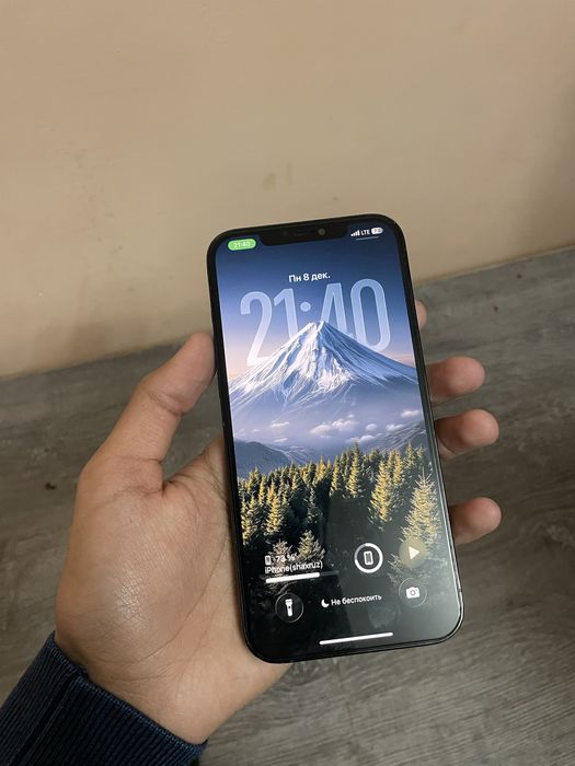 iPhone 12 Pro Max