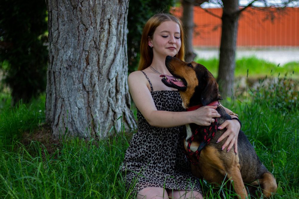 ofer servici de pet sitting