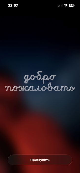 Кошка годик бесплатно