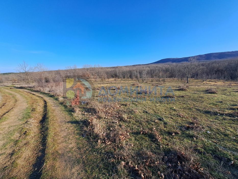 Продава се Земеделски имот в с. Велика, Област Бургас -  кв.м за 4875 €/дка - Снимка #17