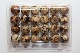 Vând ouă de prepeliță