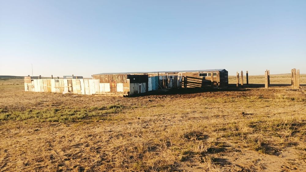 Продам хозяйства