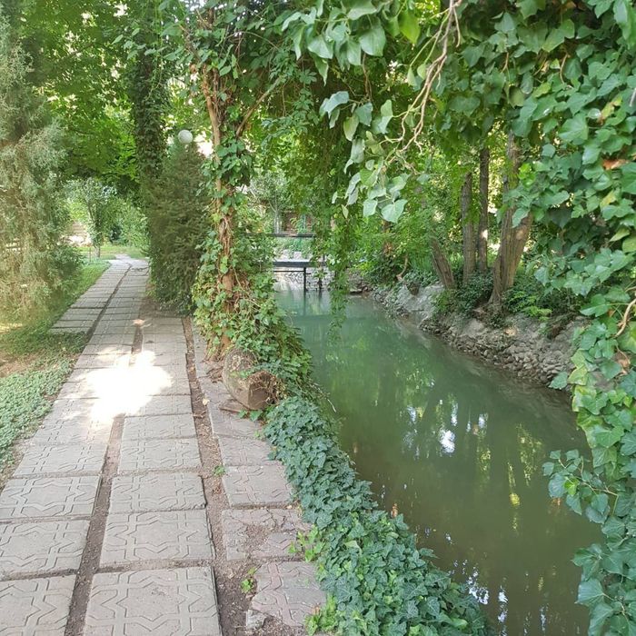 Чингельды. 1,5 гектара