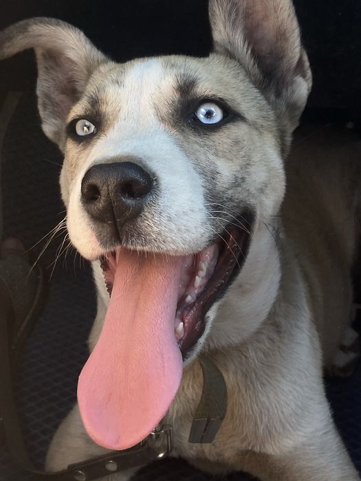 Ищем подружку срочно !