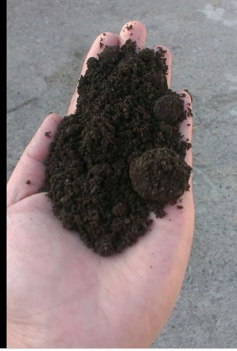 Калифорния кизил чувалчанглари ва биогумус