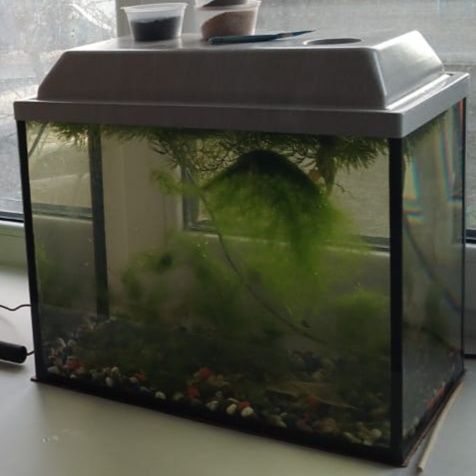 Продам аквариум разных размеров новые