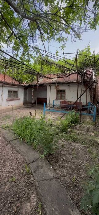Товоқсой, Паргосда ховли уй сотилади